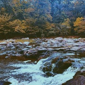 Meet your Posher, Rural